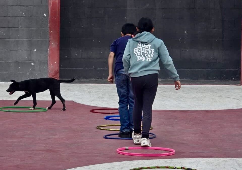 Concluye con éxito Curso de Primavera del CIJ Ramos Arizpe con amplia participación infantil