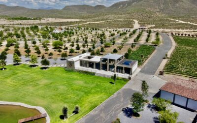 Invitan al gran evento Ramos Wine Fest, el próximo 20 de junio
