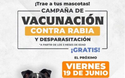 Llaman a propietarios responsables en Ramos Arizpe a participar en jornada para mascotas